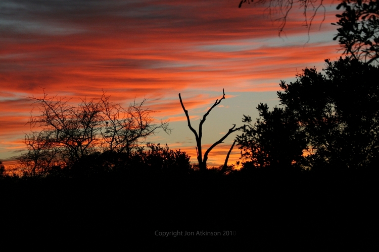 Sun rise in Tsavo East National Park, Kenya